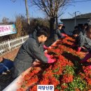호식이두마리치킨포천 의양신문