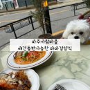 파주애견동반 식당 중 만족도 높았던 마마경양식집 솔직후기