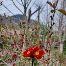 수목농장 이미지