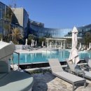 신라스테이플러스 이호테우 이미지