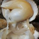 중앙동298 이미지