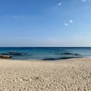 바우지움 조각 미술관 이미지