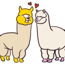 청대문 곤드레밥 이미지