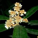 수정타운아파트(13동) 이미지