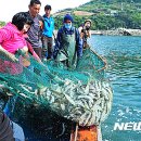 유동어촌체험휴양마을 이미지