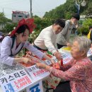 (주)늘푸른인력 네이버블로그