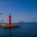 드렌도트 민박 이미지