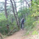 거북이 주유소 이미지