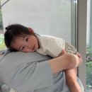 플랜티풀랜드 이미지