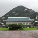 청와대 국민일보