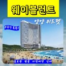 위드호텔 - 강릉시 옥천로65번길 2-6 | 위드호텔