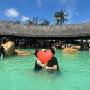 신선해수탕 | 나트랑 아이리조트 머드온천 후기｜대가족 여행 워터파크·식당·아이레스토랑 할인까지