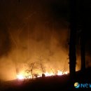 승학산 배드민턴장 이미지