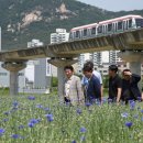 의정부시, '신곡새빛정원 들꽃나들이 행사' 개최 이미지