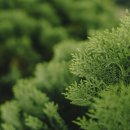 안심베드 이미지