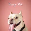 아이조아요양보호소 동탄점 이미지