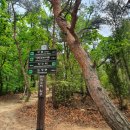 동막골약수터 이미지