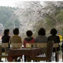 펜션 B612 이미지