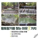 황토향기 이미지