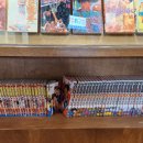 시골쥐를 부탁해 이미지