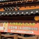 포항시남구9 | 포항 남구 점심 맛집 낙지덮밥 착한낙지남구점