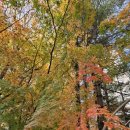 율곡공인중개사사무소 | 산본역 아파트 / 율곡아파트 가을