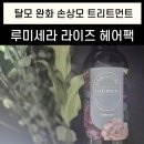 라이즈헤어 - 남동구 예술로 230 | 탈모 완화 손상모 트리트먼트 루미세라 라이즈 헤어팩 추천