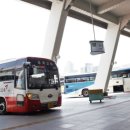 불행에 맞서는 가장 멋진 방법 이미지