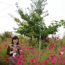 다라물농장 | 안성시 다라물 농원에서 농촌체험을 하고 왔습니다.(체험단 후기)