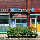 새벽공인중개사사무소 네이버블로그