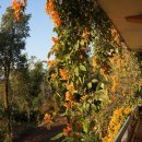 사랑코트 이미지