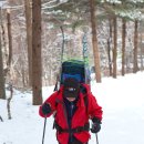 청태산휴양림 이미지