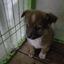 세연중학교 이미지