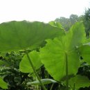 진광약국 이미지