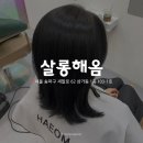 살롱해옴문정
