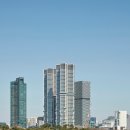 포레스트12 이미지