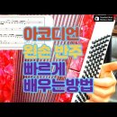 ﻿섬마을 선생님 - 아코디언 왼손 베이스 연습 빨리 배우는 방법 - YouTube 이미지