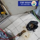동작구 하수구 막힘 꽉 막힌 오수관 뚫는 비용 아끼는 확실한 방법 (상가 배관 고압세척 후기)