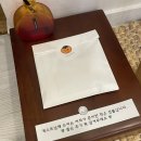 팜팜스테이 | [제주/숙소] 조천 팜팜스테이 🌴