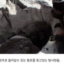노아의 방주 이미지