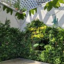 거제남서로 이미지