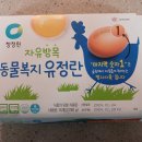 농업회사법인(주)와이제이푸드 - 27496 | 농업회사법인(주)와이제이푸드