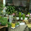 보개산로 이미지