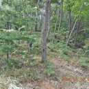 세성주유소 이미지