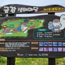 금강생태마당 이미지