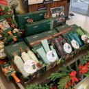 대양클리닉 | [마포/합정] 합정 헤드스파 추천 내돈내산 미용실 후기 아베다 <살리고 헤어>