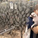 마리오펫 이미지