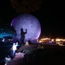 제주머무리 이미지