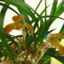 황토골1 이미지