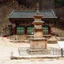 덕산면053 Daum카페
